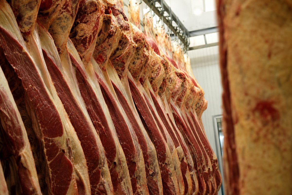Exportação de carne bovina despenca em agosto, mas preço médio dispara