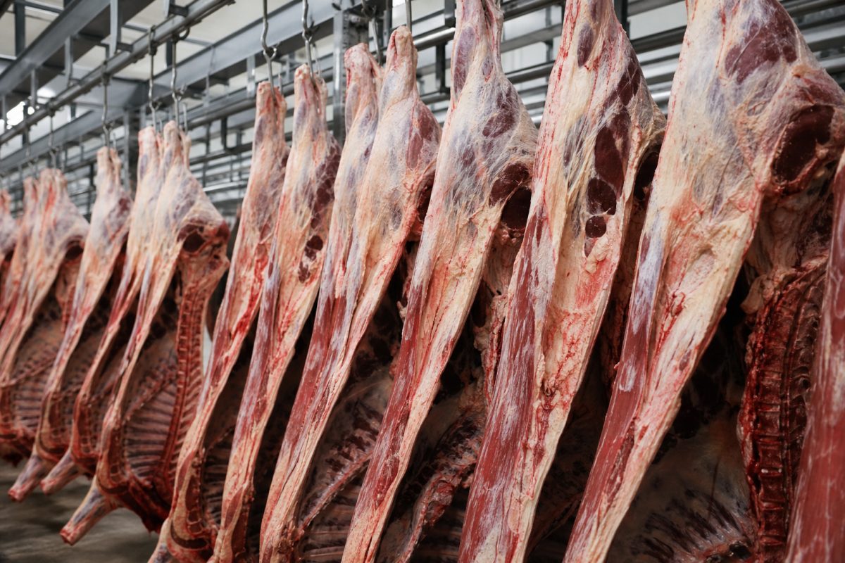 Exportações de carne bovina caem 88% para a China; EUA se destacam