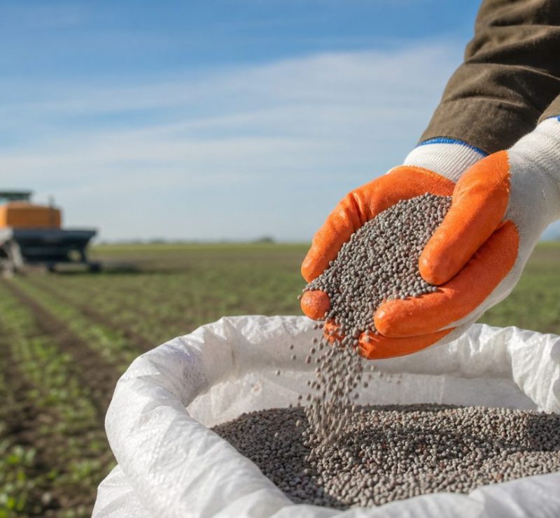Aumento de preços de fertilizantes gera riscos para lavouras no Brasil