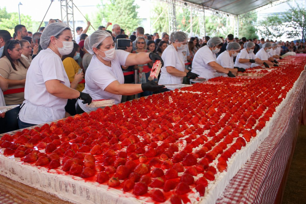 Festa do Morango 2026 terá tortas gigantes e 30 mil fatias em Pedra Azul
