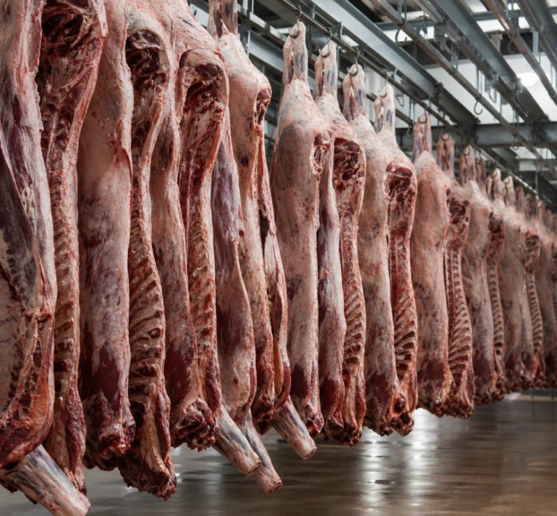 Indonésia aprova 21 novas plantas brasileiras para exportação de carne