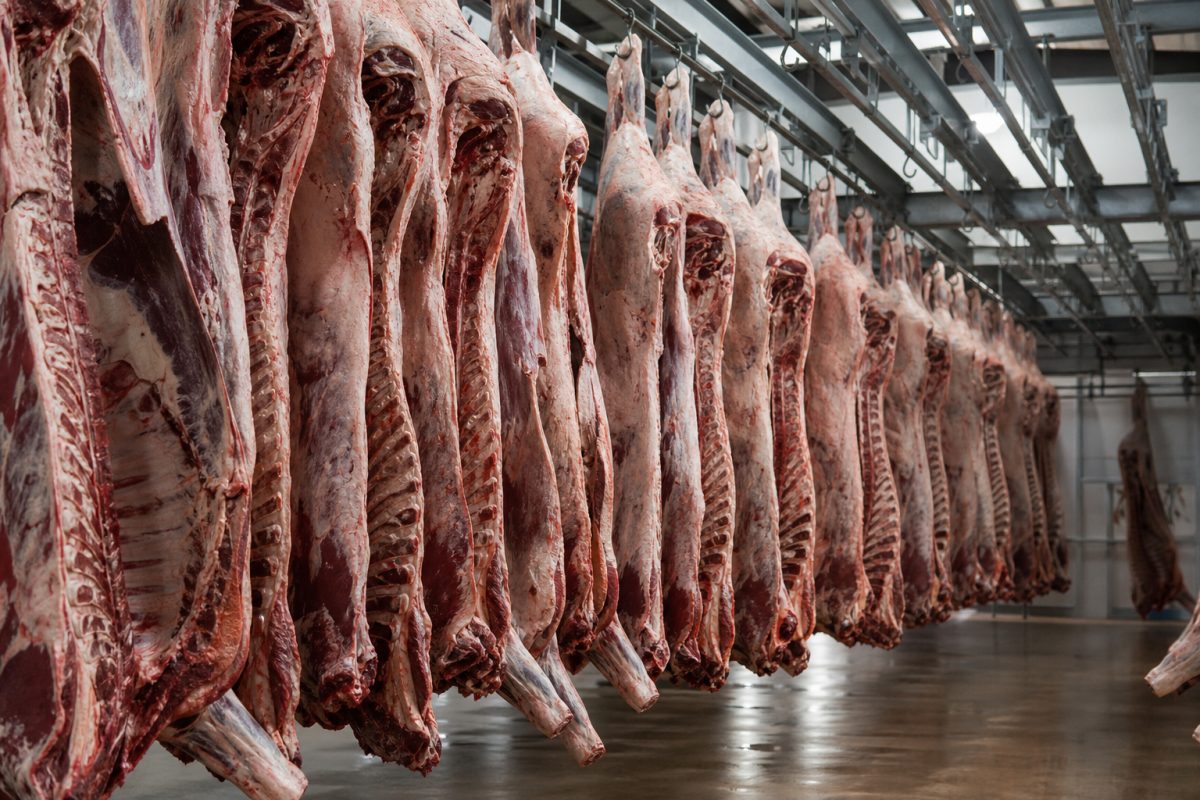 Indonésia aprova 21 novas plantas brasileiras para exportação de carne