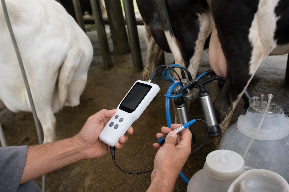 ‘Língua eletrônica’ detecta resíduos de antibióticos no leite de vaca e cabra