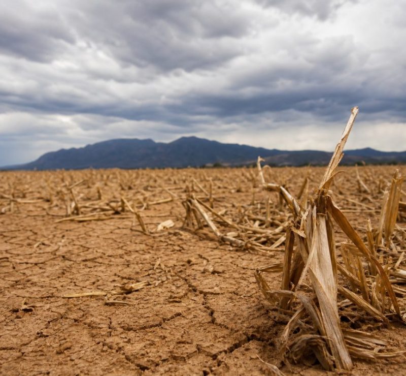 Incertezas do Seguro Rural em 2027: PLOA destina R$ 1,2 bi