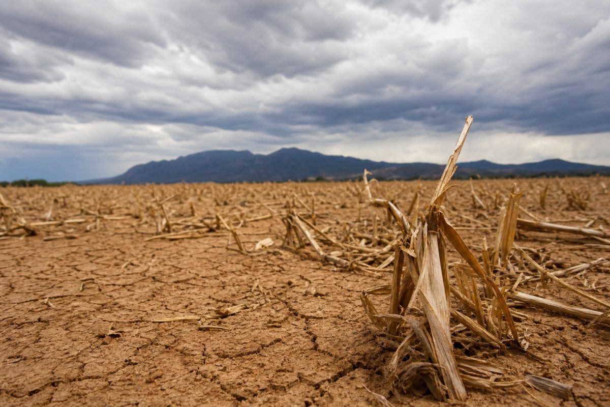 Mesmo com El Niño, projeto orçamentário prevê incerteza para Seguro Rural em 2027