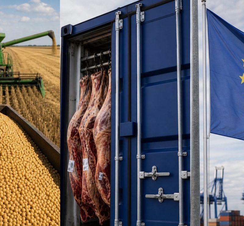 UE suspende importação de carne brasileira; agro eleva PIB do Brasil