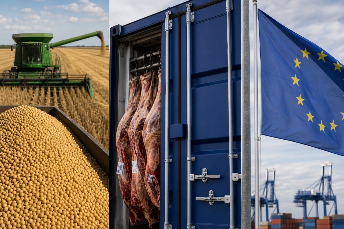 Radar Rural: UE bloqueia carne brasileira, agro sustenta PIB e soja inicia safra