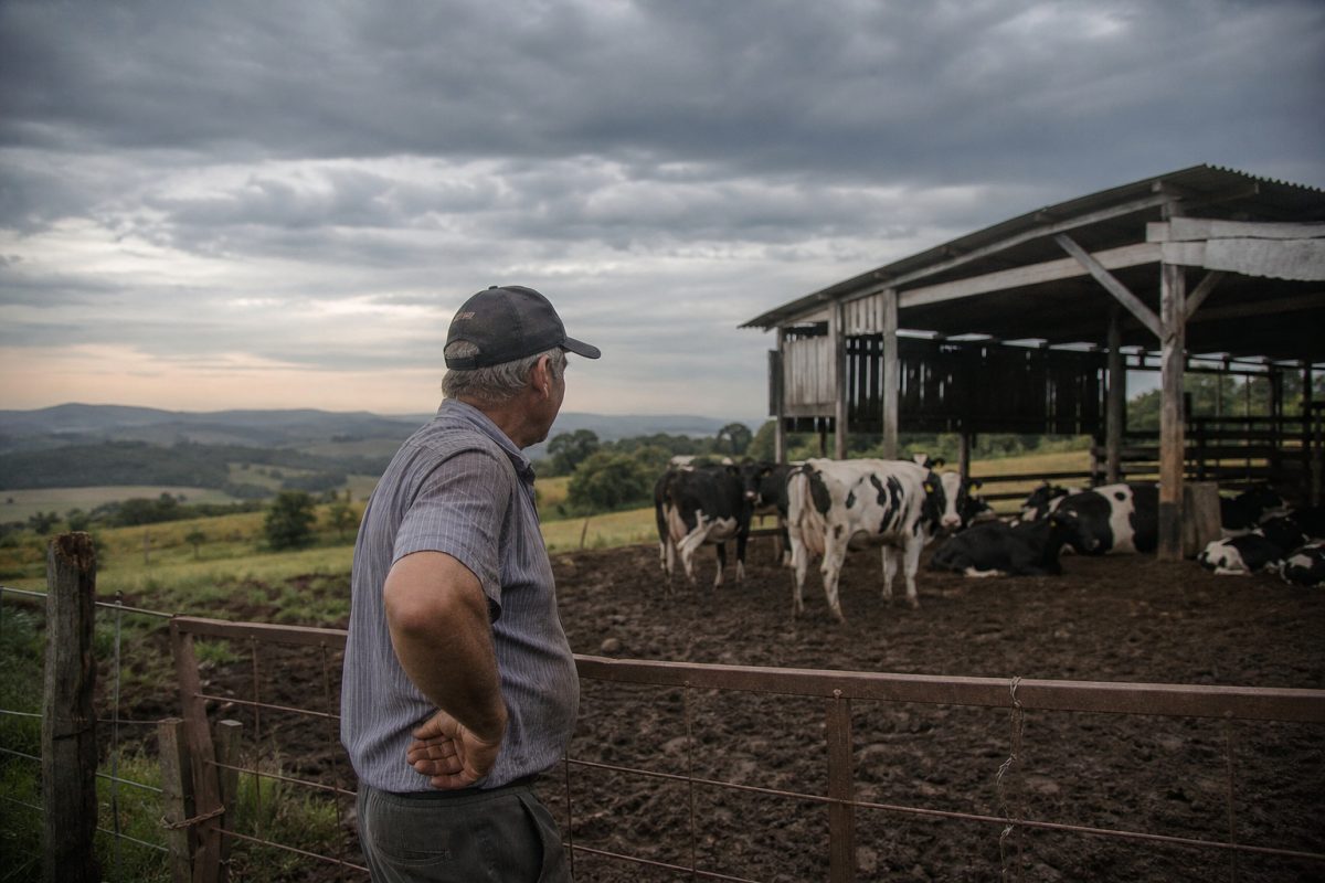 ‘Se nada for feito’: RS pode ter menos de 3 mil produtores de leite em 25 anos