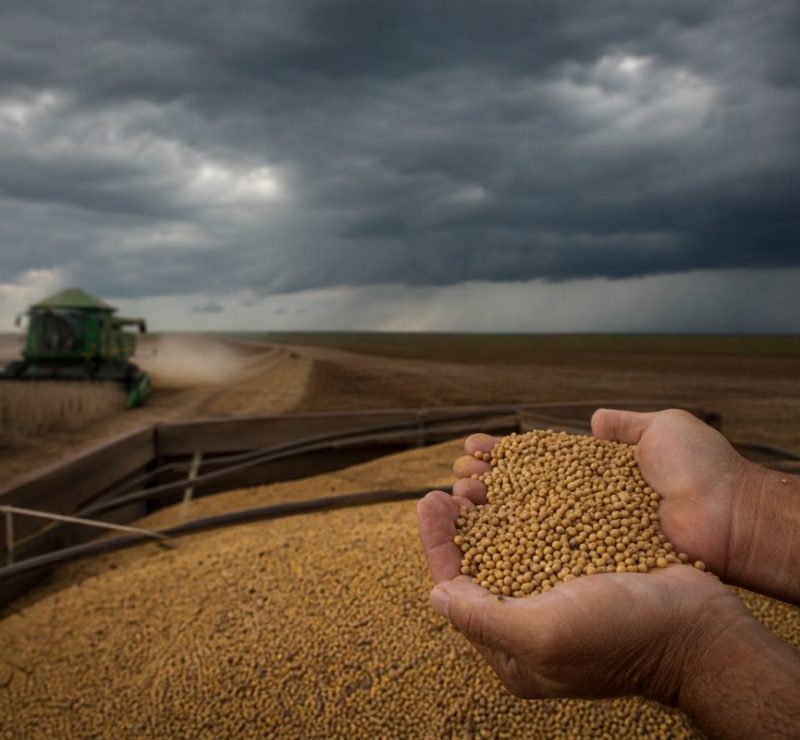 Tarifas Americanas Podem Desestabilizar o Agro Brasileiro em 2024