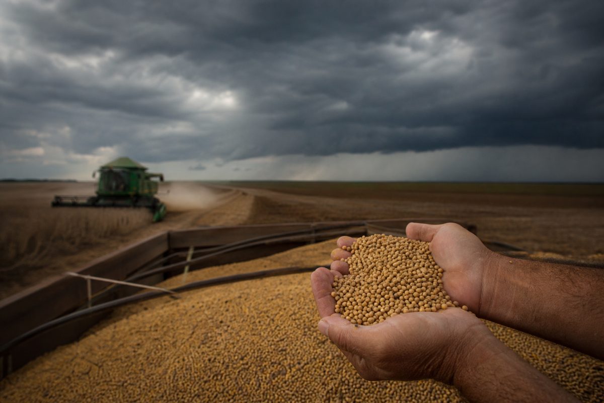 Tarifas Americanas Podem Desestabilizar o Agro Brasileiro em 2024