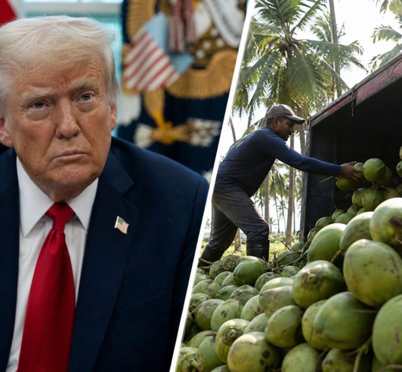 Desafios Tarifários: Vita Coco e o Impacto das Medidas de Trump