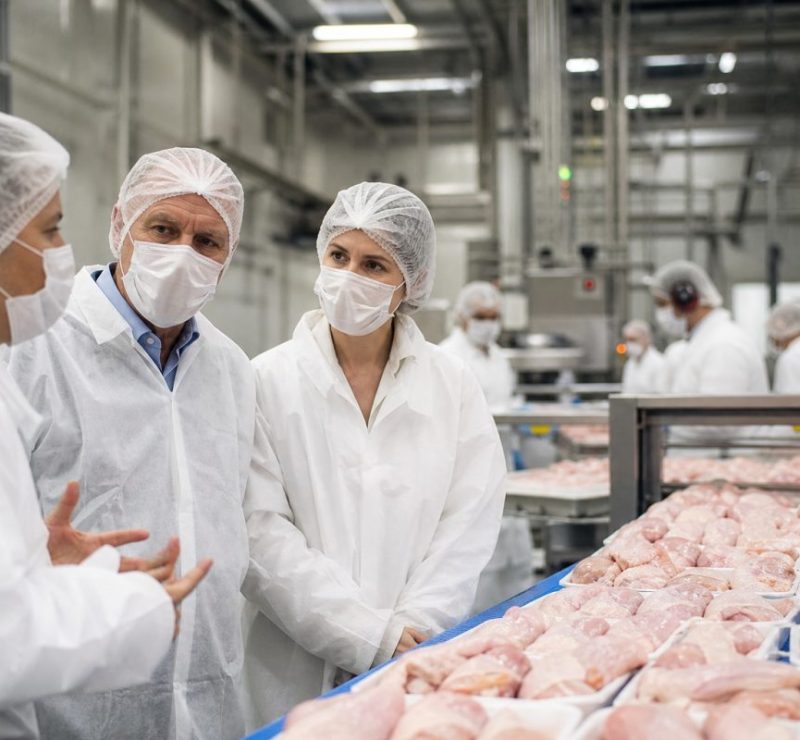 União Europeia pode retomar importações de frango brasileiro em novembro
