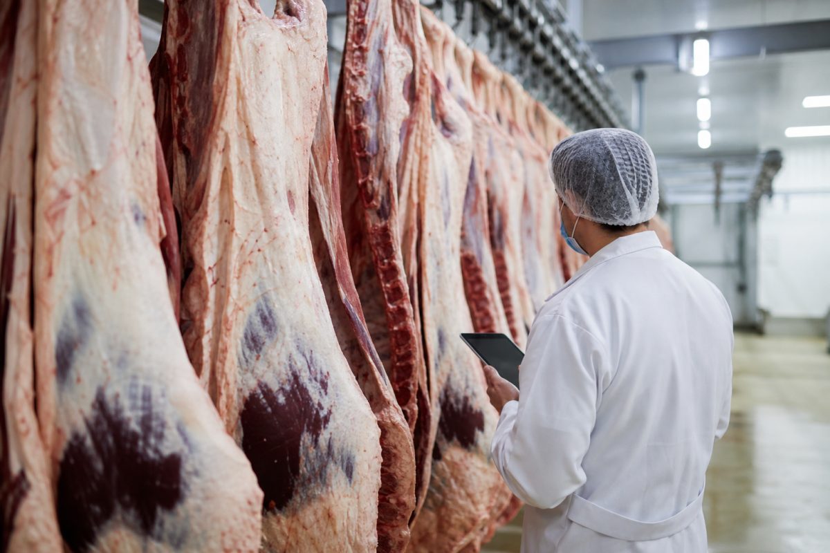 União Europeia suspende importação de carnes do Brasil a partir desta quinta