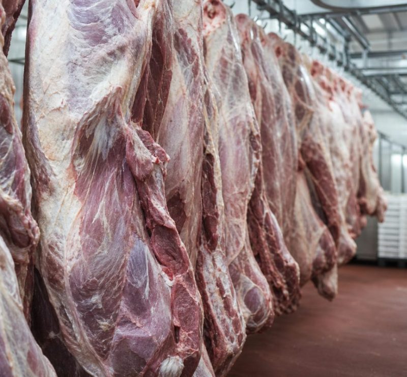 Impacto do veto da UE às carnes brasileiras pode chegar a R$ 2,6 bilhões