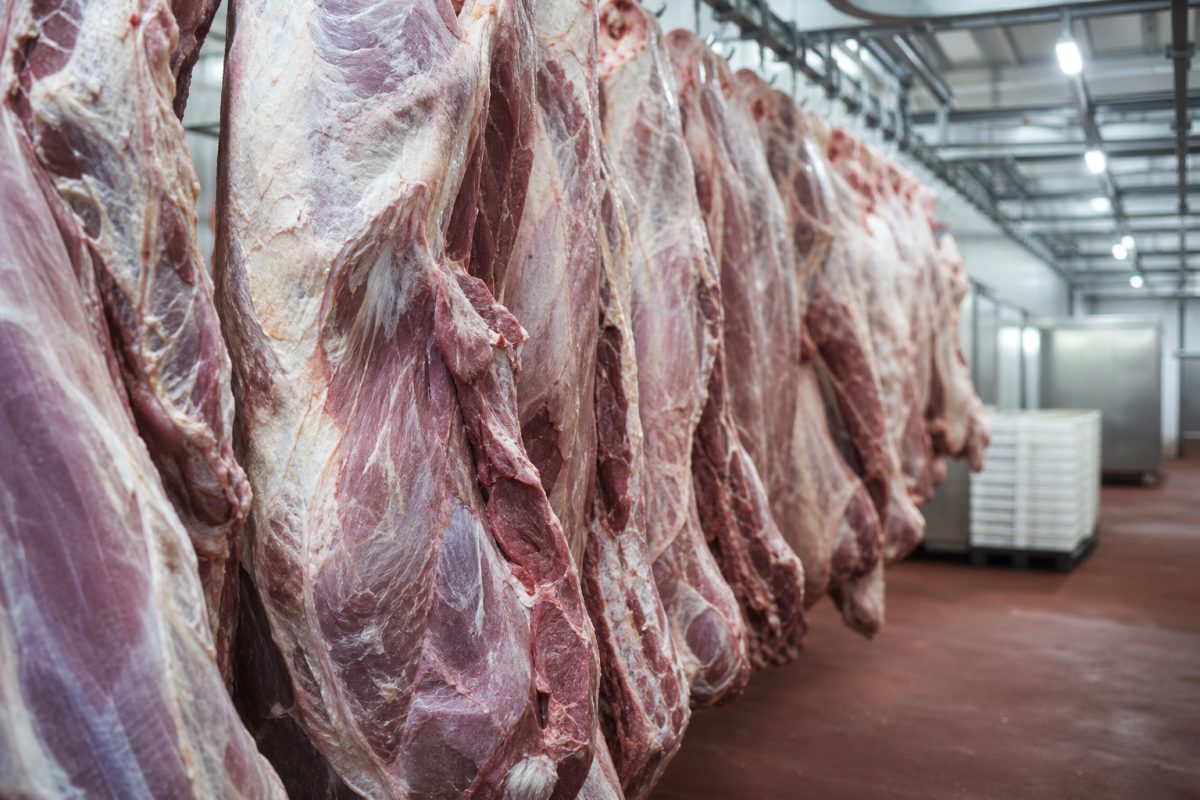 Impacto do veto da UE às carnes brasileiras pode chegar a R$ 2,6 bilhões